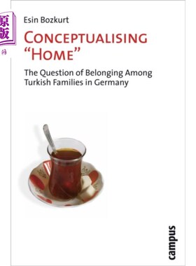 海外直订Conceptualising 