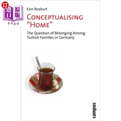 海外直订Conceptualising 