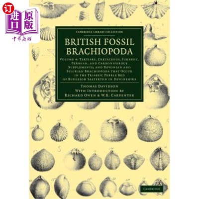海外直订British Fossil Brachiopoda 英国腕足化石