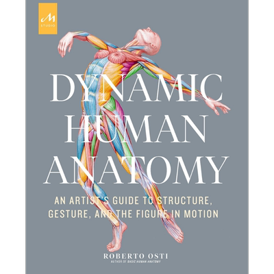 预售 Dynamic Human Anatomy 进口艺术 动态人体解剖学 绘画技巧【中商原版】艺用解剖 人体动态绘画入门
