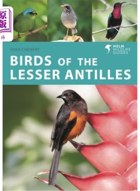 海外直订Birds of the Lesser Antilles 小安的列斯群岛的鸟类