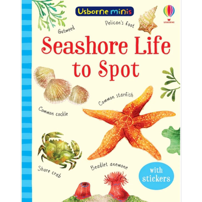 现货 Seashore Life to Spot 海边的发现 尤斯伯恩迷你书系列 Usborne Minis 儿童绘本知识图画书 英文原版进口童书【中商原版】