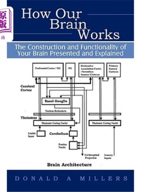 海外直订How Our Brain Works: The Construction and Functionality of Your Brain Presented