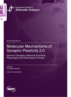 海外直订Molecular Mechanisms of Synaptic Plasticity 2.0: Dynamic Changes in Neurons Func 突触可塑性的分子机制2.0：