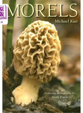 海外直订Morels 羊肚菌