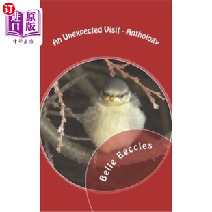 Unexpected 访问 Visit 意料之外 选集 Anthology 海外直订An