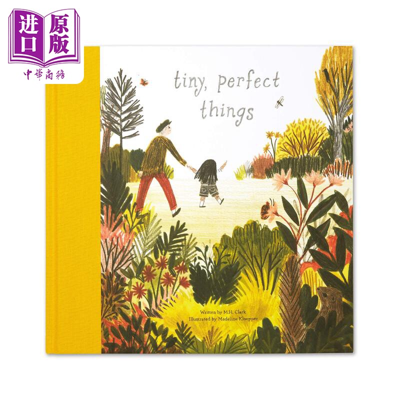 现货 madeline kloepper tiny perfect things 美妙的小东西 英文原版