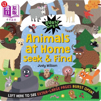 海外直订Animals at Home Seek & Find 动物在家里寻找和发现