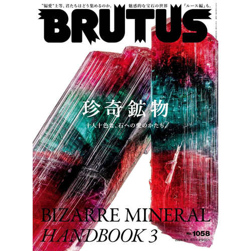 BRUTUS 2026年ブルータス 日文原版日韩 时尚生活杂志【中商原版】