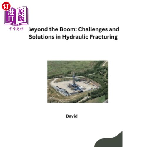 海外直订Beyond the Boom: Challenges and Solutions in Hydraulic Fracturing 超越繁荣：水力压裂的挑战与解决方案