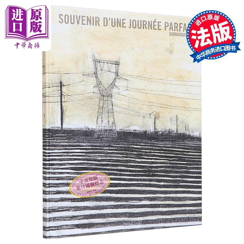 【法文版】法漫 完美一天的记忆 Dominique Goblet绘 Souvenir dune journée parfaite 法文原版 自传小说绘本【中商原版】