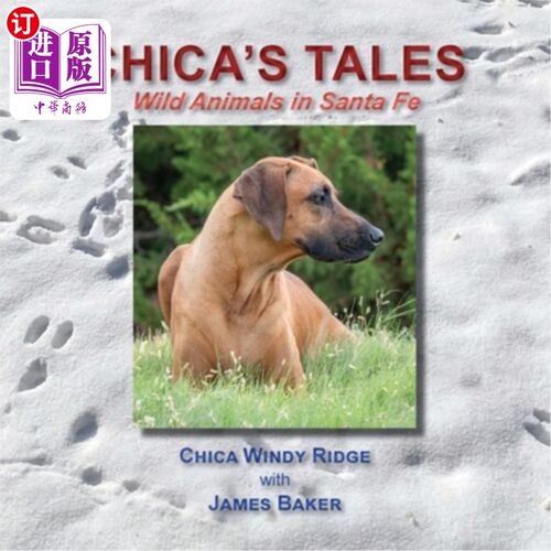 海外直订Chica's Tales, Wild Animals in Santa Fe 中国的故事，圣达菲的野生动物