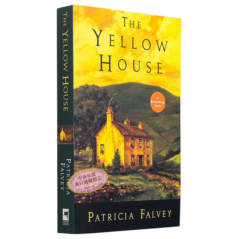 黄房子 The Yellow House 英文原版 Patricia Falvey 爱尔兰裔美国作家法维 经典文学 国际流行小说 女性读物【中商原版】