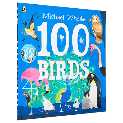 预售100种鸟哦趣味鸟类图画书