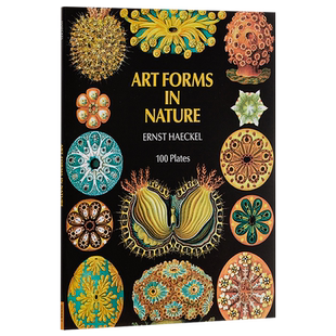 预售 自然界的艺术形式 英文原版 Art Forms in Nature Ernst Haeckel 恩斯特 海克尔 科普读物 生物科学 插图绘图【中商原版】