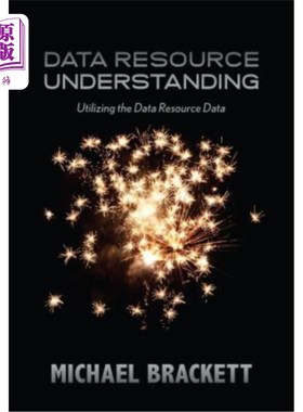 海外直订Data Resource Understanding: Utilizing the Data Resource Data 理解数据资源:利用数据资源数据