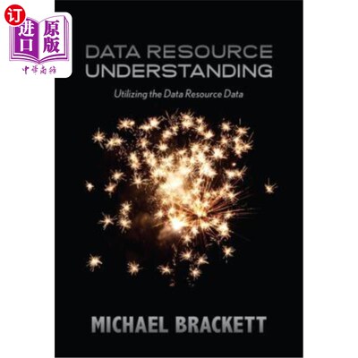 海外直订Data Resource Understanding: Utilizing the Data Resource Data 理解数据资源:利用数据资源数据