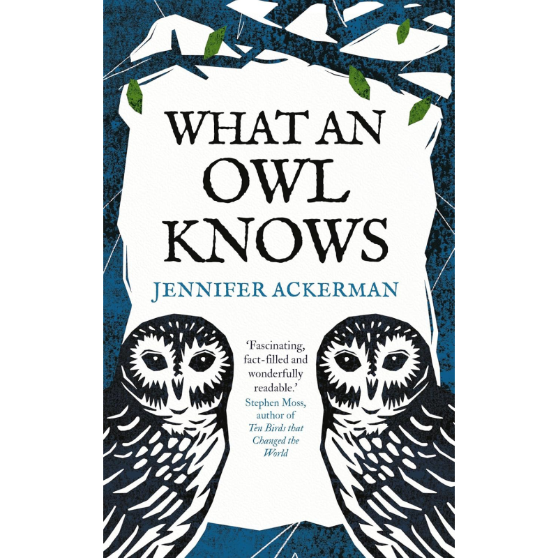 猫头鹰知道些什么 世界上神秘的鸟类的新科学 英文原版 What an Owl Knows Jennifer Ackerman【中商原版】