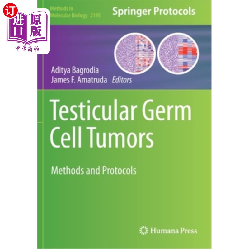 海外直订Testicular Germ Cell Tumors: Methods and Protocols 睾丸生殖细胞肿瘤:方法与规程
