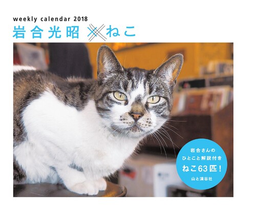 现货 【中商原版】岩合光昭萌猫 2018年周历 日文原版 カレンダー2018 岩合光昭×ねこ 週めくり卓上 岩合光昭 山と渓谷社