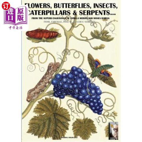 海外直订flowers, butterflies, insects, caterpillars & serpents...: From Sybilla Merian & 花、蝴蝶、昆虫、毛毛虫和蛇