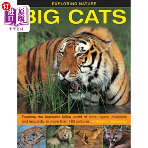 海外直订Exploring Nature: Big Cats: Examine the Fearsome Feline World of Lions, Tigers,  探索自然：大型猫科动物：在