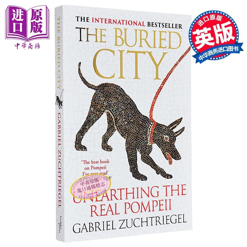 湮没之城 庞贝古城的真实考古 The Buried City Unearthing the Real Pompeii 英文原版 Gabriel Zuchtriegel 历史【中商原版