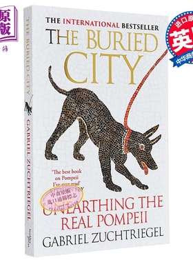 湮没之城 庞贝古城的真实考古 The Buried City Unearthing the Real Pompeii 英文原版 Gabriel Zuchtriegel 历史【中商原版