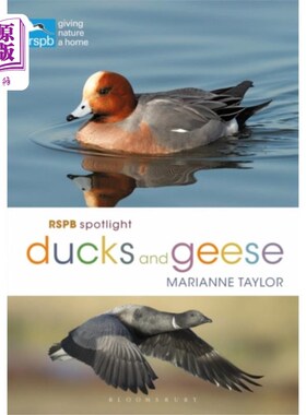 海外直订RSPB Spotlight Ducks and Geese RSPB聚焦鸭子和鹅