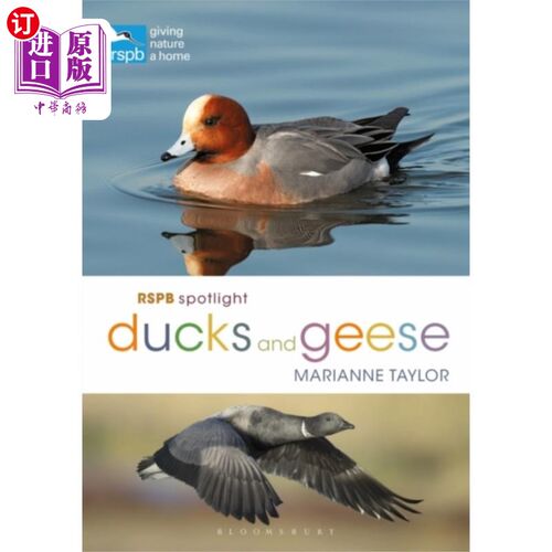 海外直订RSPB Spotlight Ducks and Geese RSPB聚焦鸭子和鹅