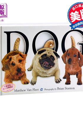 现货 【中商原版】Matthew Van Fleet英文原版 Dog 狗 趣味启蒙认知 动物 大开本纸板触摸操作书  儿童认知玩具书 启蒙认识 精装