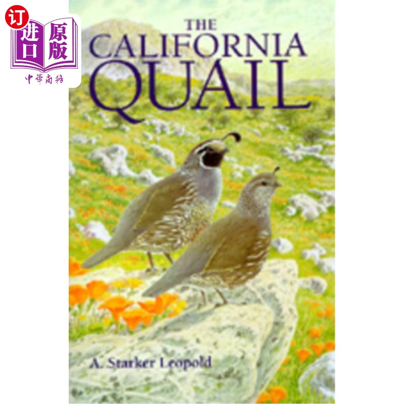 海外直订The California Quail 加利福尼亚鹌鹑