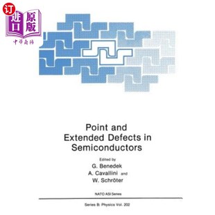 Defects Extended Semiconductors 点缺陷和扩展缺陷 海外直订Point 半导体中 and