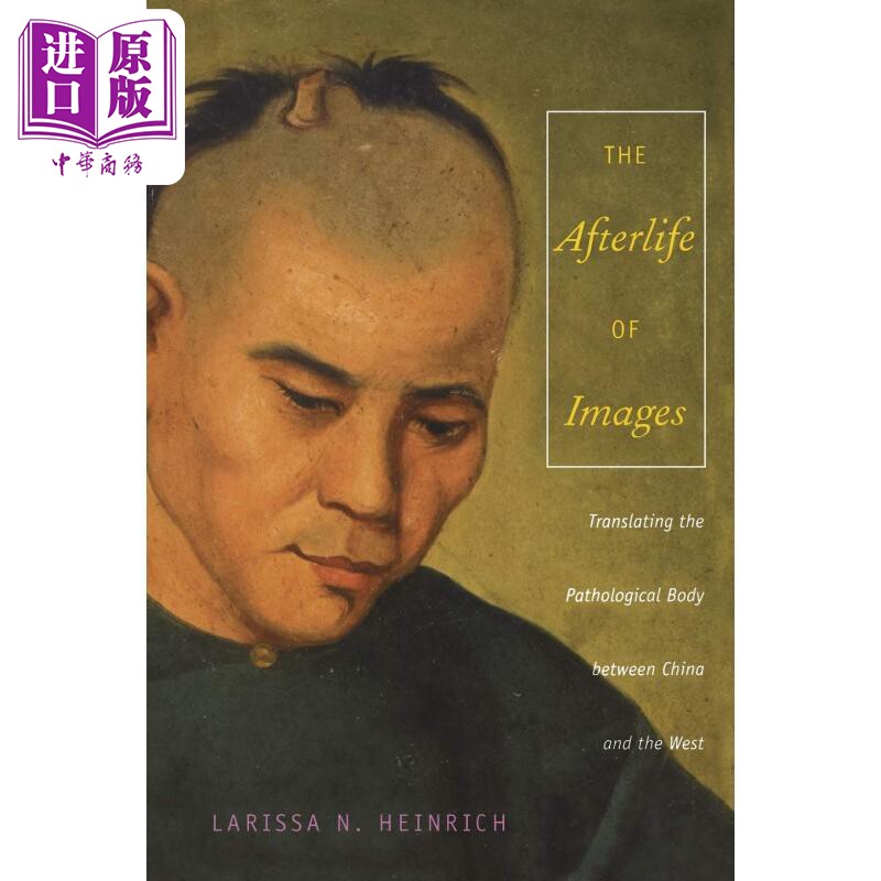 意向的来世 中西之间对病态身体的翻译 The Afterlife of Images 英文原版 Ari Larissa Heinrich【中商原版】