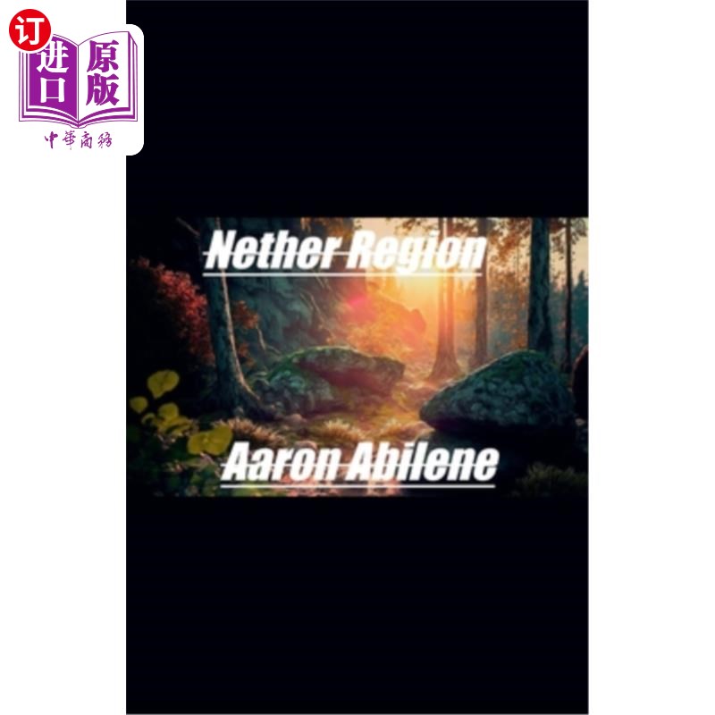 海外直订Nether Region 下面的区域