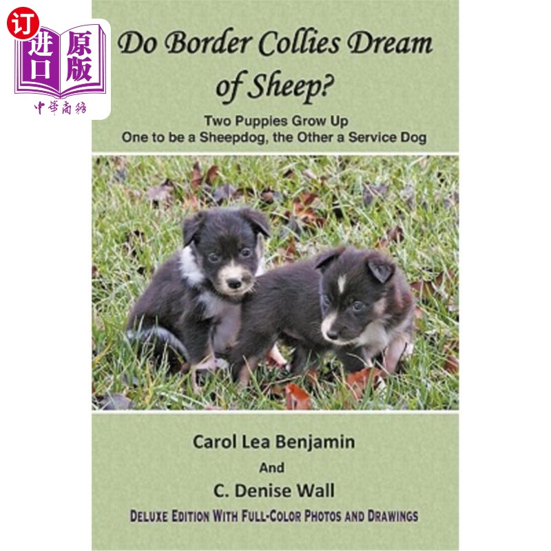 海外直订Do Border Collies Dream of Sheep? Full Color Edition边境牧羊犬会梦见羊吗?全彩版