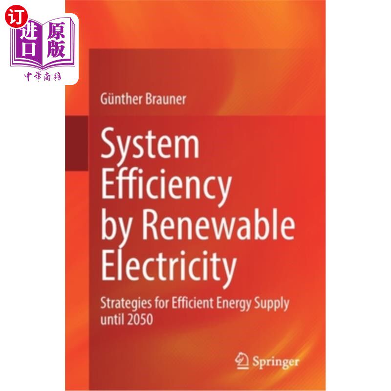 海外直订System Efficiency by Renewable Electricity: Strategies for Efficient Energy Supp 通过可再生电力提高系统效率