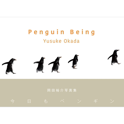 今天也是萌企鹅 摄影集 日文原版 Penguin Being ー今日もペンギンー 冈田裕介【中商原版】