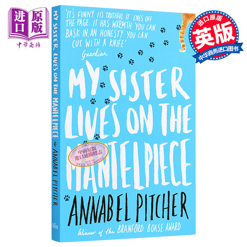 我的姐姐住在壁炉上 豆瓣高分 英文原版 My Sister Lives on the Mantelpiece Annabel Pitcher【中商原版】