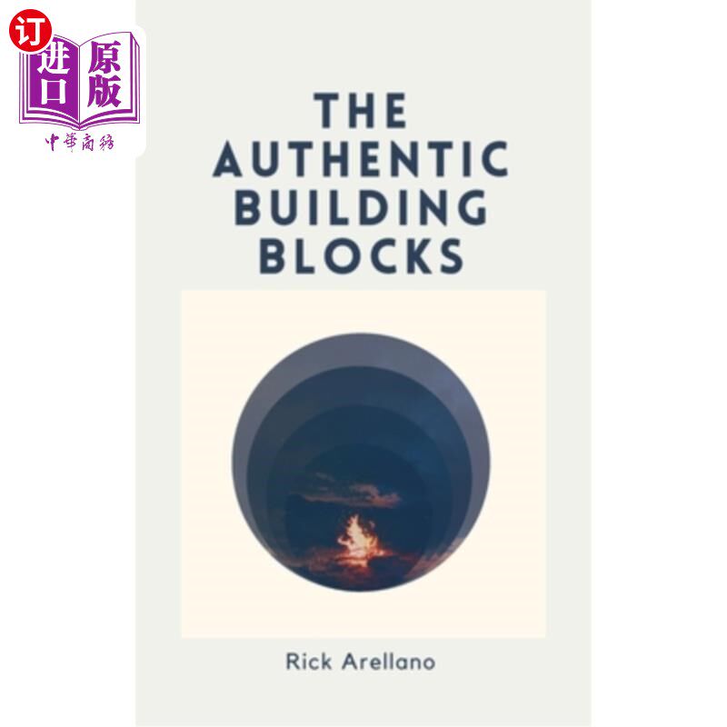 海外直订The authentic building blocks 真正的积木