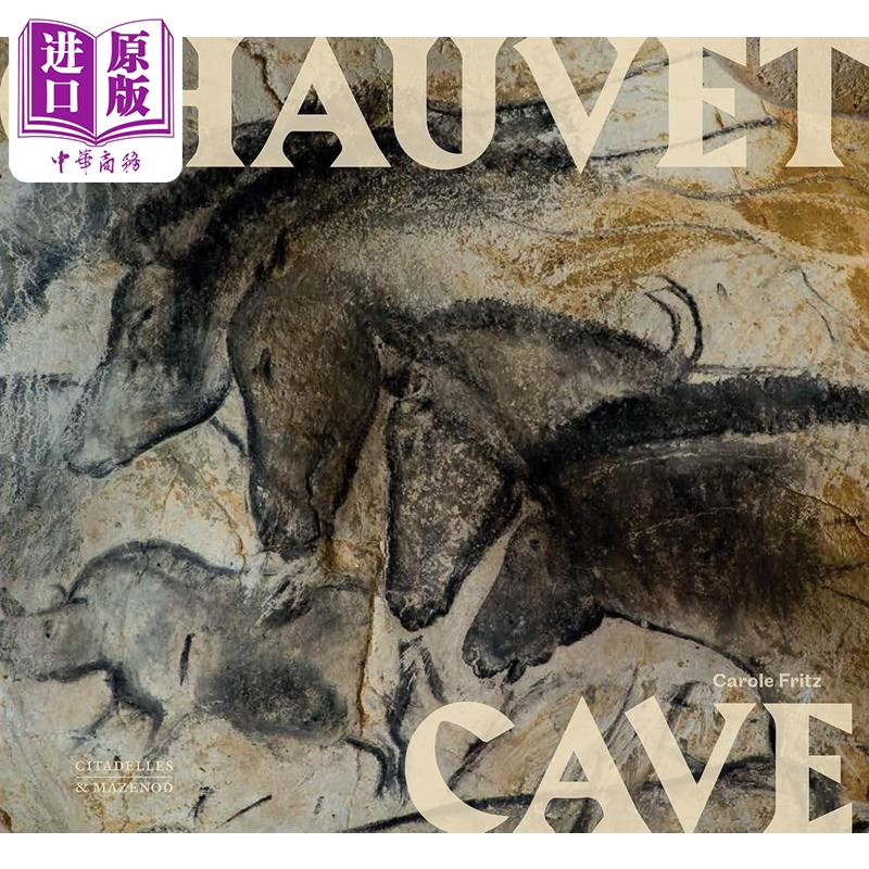 法国肖维岩洞ChauvetCave