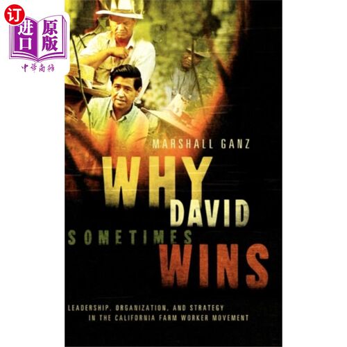 海外直订Why David Sometimes Wins 为什么大卫有时会赢