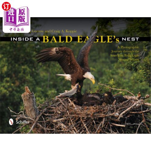 海外直订Inside a Bald Eagle's Nest: A Photographic Journey Through the American Bald Eag 在一个白头鹰的巢里:通过美