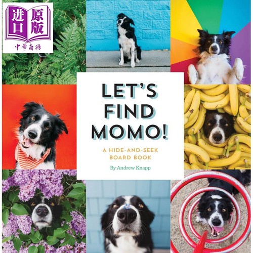 Lets Find Momo寻找莫莫1 让我们找到Momo 英文原版纸板书 A Hide-And-Seek Board Book 狗狗找找书 捉迷藏的书【中商原版】