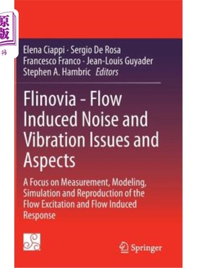 海外直订Flinovia - Flow Induced Noise and Vibration Issues and Aspects: A Focus on Measu