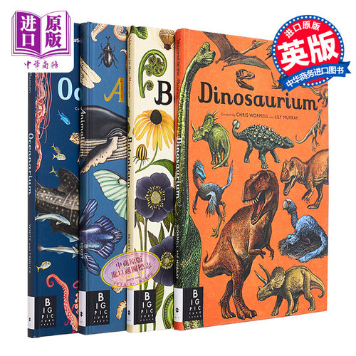 欢迎来到博物馆系列4本套装