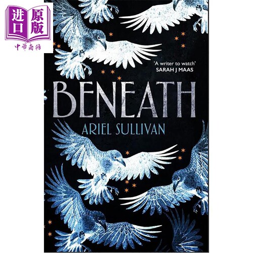深渊之下 Beneath 英文原版 Ariel Sullivan 反乌托邦爱情故事 奇幻流行小说【中商原版】