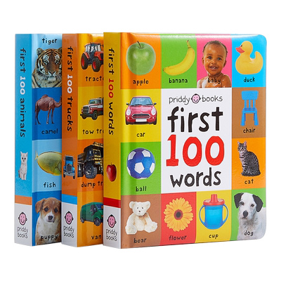 单词入门书图解字词典3册英文