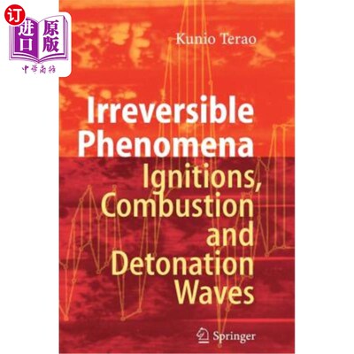 海外直订Irreversible Phenomena: Ignitions, Combustion and Detonation Waves 不可逆现象：点火、燃烧和爆轰波