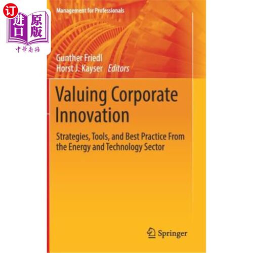 海外直订Valuing Corporate Innovation: Strategies, Tools, and Best Practice from the Ener 评估企业创新:能源和技术部